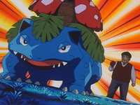 Gan Gogh's Venusaur