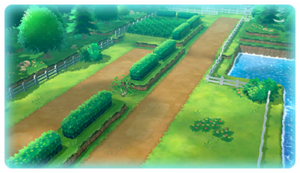 Kanto Route 14 PE.png