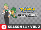 Pokémon BW S14 Vol 2 Amazon.png