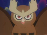 Wings Alexander's Noctowl when it was younger