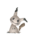 Mimikyu