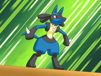 Maylene's Lucario