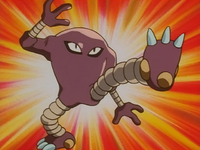 Tsuyoshi's Hitmonlee