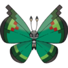 666Vivillon-Garden.png