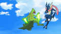 One of Greninja's doubles missing the star shape on its leg