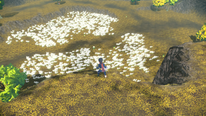 Cottonsedge Prairie LA.png