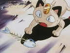 Go West Young Meowth