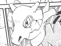 Pokémon Adventures: Emerald Archives - MangaMavericks.com