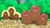 Ash's Dugtrio