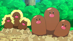 Normal and Alolan Dugtrio anime.png