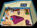 The player's bedroom (messed up) in Pokémon Black and White