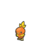 Torchic