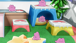 Aether Paradise Ditto.png