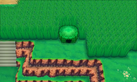 Secret Spot Route 120 2.png