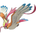 Mega Pidgeot artwork