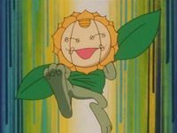 Team Rocket Meowth Sunflora disguise EP178.png