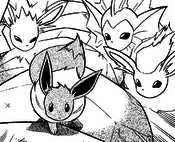 Vee Eeveelutions.png