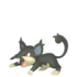 Rattata