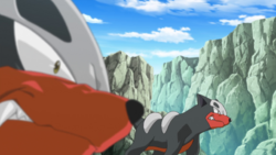 Team Flare Houndour.png
