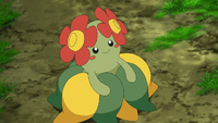 Bellossom anime.png