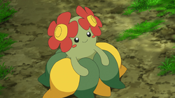 pokemon-i-choose-you — diogrozilla: Bellossom 🌺 #pokemon #bellossom