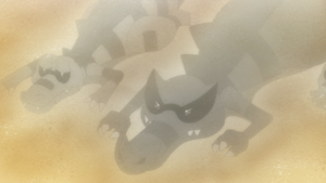 Luxray X-ray vision anime.png