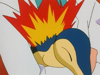 Professor Elm's Cyndaquil