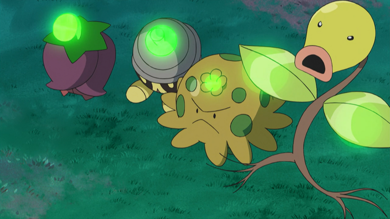 File:Cherrim Seedot Shroomish Bellsprout Growth glowing.png