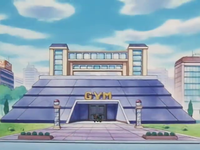 Is Captain's Transport will be in Olivine City Johto? - General