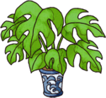 DW House Plant.png