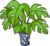 DW House Plant.png