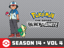 Pokémon BW S14 Vol 4 Amazon.png