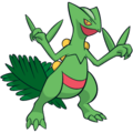 254Sceptile Channel.png
