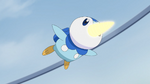Dawn Piplup Drill Peck.png