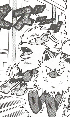 Red Arcanine Primeape PM.png