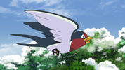 Goh Taillow.png