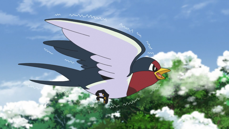 File:Goh Taillow.png