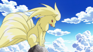 Ninetales BW135.png