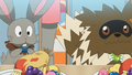 Pokémon Grand Eating Contest Zigzagoon Bunnelby.png