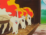 Professor Oak Laboratory Ponyta Rapidash.png