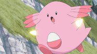 Mollie Chansey Pound.png