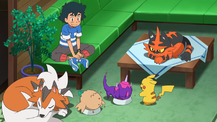 Poké Problem extra scene SM067.png