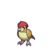 Pidgeotto