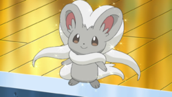 Cutest Pokemon Ever