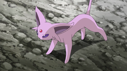 Espeon Pokemon Bulbapedia The Community Driven Pokemon Encyclopedia