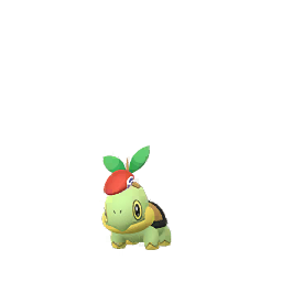 Turtwig wearing Lucas's hat