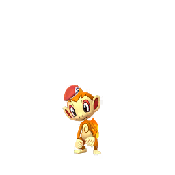 Chimchar wearing Lucas's hat