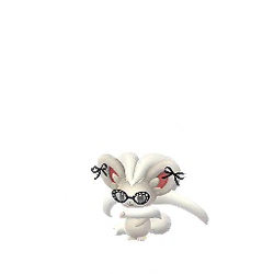 Cinccino wearing Fashionable costume
